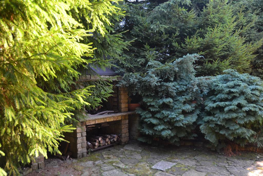 Chata Dolce Trutnov Quarto foto